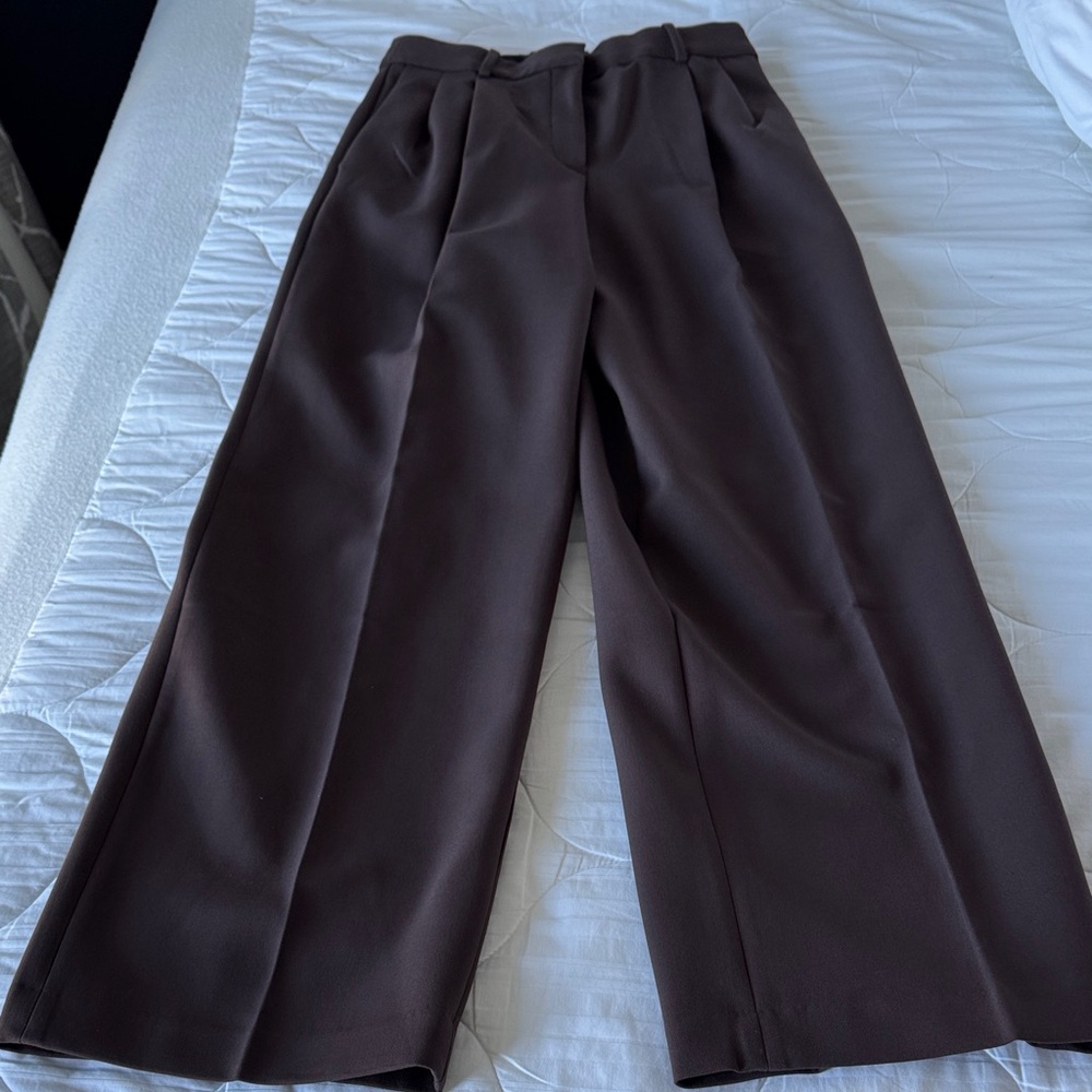 Aritzia pleated pants